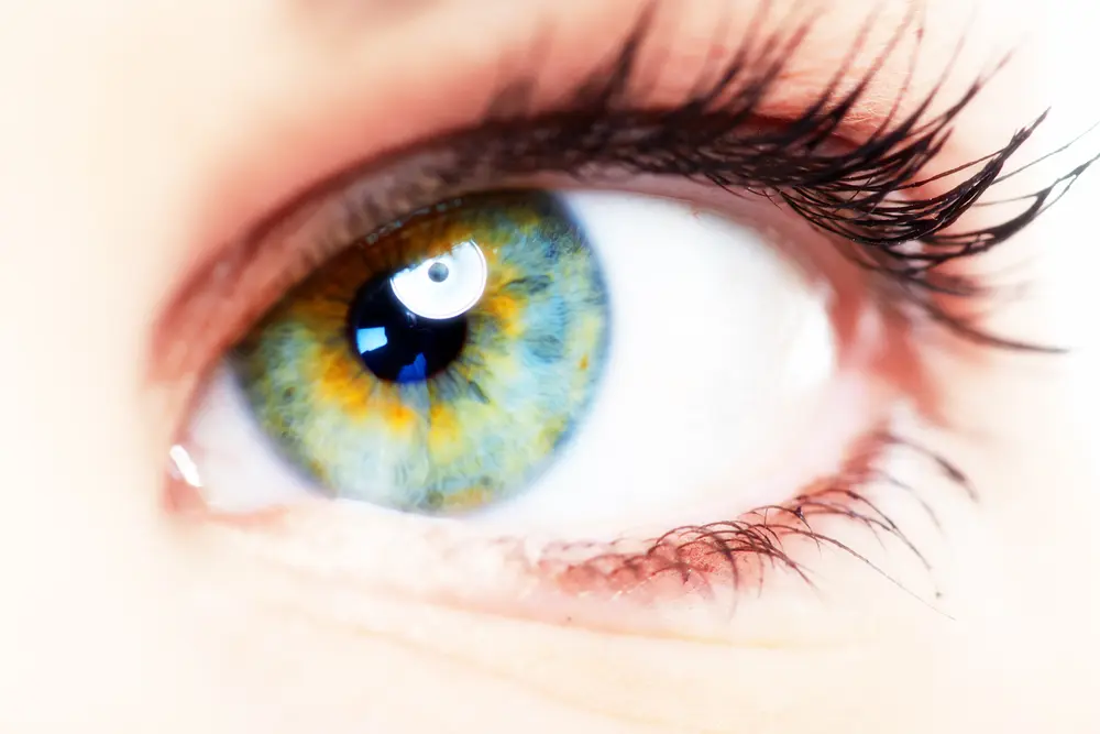 Okanagan Vision Therapy - Beautiful Woman eye. Vision and optometry background.
