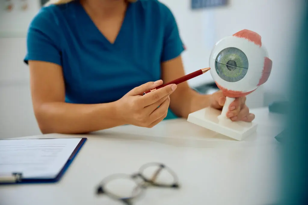 Close up of ophthalmologist using anatomical model of human eye at medical clinic.
